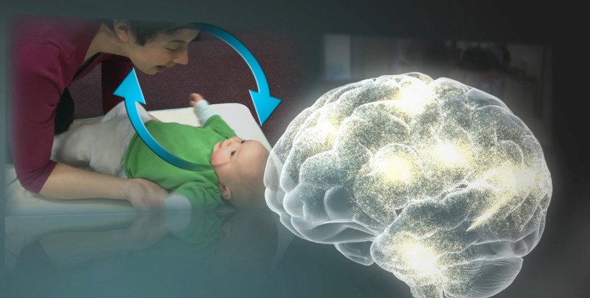 ¿Cómo es el desarrollo del cerebro en la edad temprana?